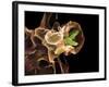 Macrophage Engulfing TB Bacteria, SEM-Science Photo Library-Framed Photographic Print