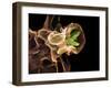 Macrophage Engulfing TB Bacteria, SEM-Science Photo Library-Framed Photographic Print