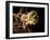 Macrophage Engulfing TB Bacteria, SEM-Science Photo Library-Framed Photographic Print