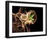 Macrophage Engulfing TB Bacteria, SEM-Science Photo Library-Framed Photographic Print