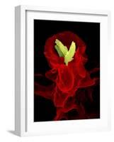 Macrophage Engulfing TB Bacteria, SEM-Science Photo Library-Framed Photographic Print