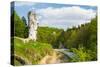 Maczuga Herkulesa, Rock in National Ojcow Park, Poland-dziewul-Stretched Canvas