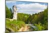 Maczuga Herkulesa, Rock in National Ojcow Park, Poland-dziewul-Mounted Photographic Print