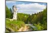 Maczuga Herkulesa, Rock in National Ojcow Park, Poland-dziewul-Mounted Photographic Print