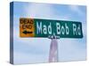 Mad Bob-Steve Vaughn-Stretched Canvas