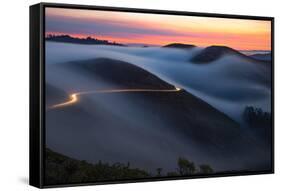 Mad Dash to Hawk Hill, Fog in Marin Headlands, Bay Area, San Francisco-Vincent James-Framed Stretched Canvas