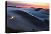 Mad Dash to Hawk Hill, Fog in Marin Headlands, Bay Area, San Francisco-Vincent James-Stretched Canvas