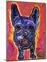 MAD Frenchie-MADdogART-Mounted Giclee Print