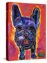 MAD Frenchie-MADdogART-Stretched Canvas