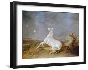 Mad Horse-Sawrey Gilpin-Framed Giclee Print