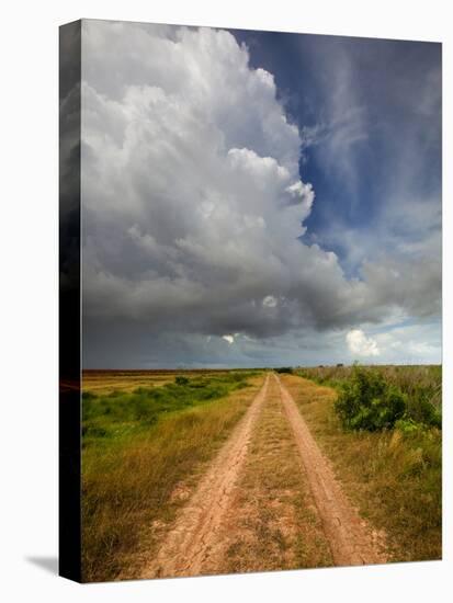 Mad Island Marsh Preserve, Texas: a Dirt Path Leading Throughout the Marsh.-Ian Shive-Stretched Canvas