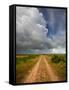 Mad Island Marsh Preserve, Texas: a Dirt Path Leading Throughout the Marsh.-Ian Shive-Framed Stretched Canvas