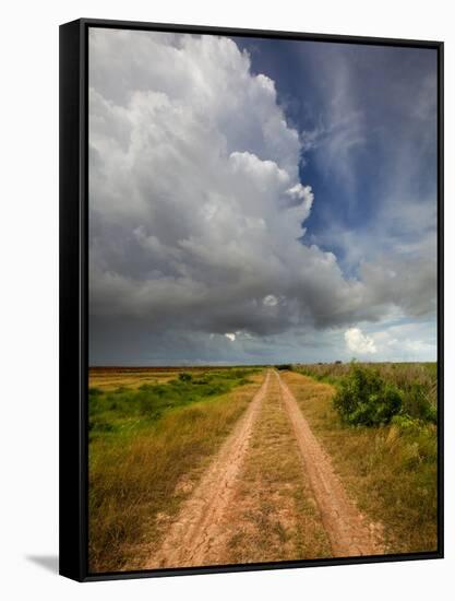 Mad Island Marsh Preserve, Texas: a Dirt Path Leading Throughout the Marsh.-Ian Shive-Framed Stretched Canvas