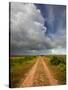 Mad Island Marsh Preserve, Texas: a Dirt Path Leading Throughout the Marsh.-Ian Shive-Stretched Canvas