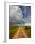 Mad Island Marsh Preserve, Texas: a Dirt Path Leading Throughout the Marsh.-Ian Shive-Framed Photographic Print