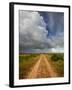 Mad Island Marsh Preserve, Texas: a Dirt Path Leading Throughout the Marsh.-Ian Shive-Framed Photographic Print