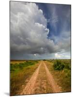 Mad Island Marsh Preserve, Texas: a Dirt Path Leading Throughout the Marsh.-Ian Shive-Mounted Photographic Print