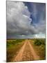 Mad Island Marsh Preserve, Texas: a Dirt Path Leading Throughout the Marsh.-Ian Shive-Mounted Photographic Print