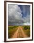 Mad Island Marsh Preserve, Texas: a Dirt Path Leading Throughout the Marsh.-Ian Shive-Framed Photographic Print