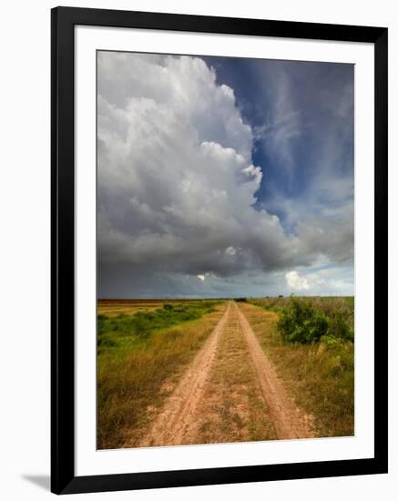 Mad Island Marsh Preserve, Texas: a Dirt Path Leading Throughout the Marsh.-Ian Shive-Framed Photographic Print