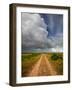 Mad Island Marsh Preserve, Texas: a Dirt Path Leading Throughout the Marsh.-Ian Shive-Framed Photographic Print