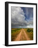 Mad Island Marsh Preserve, Texas: a Dirt Path Leading Throughout the Marsh.-Ian Shive-Framed Photographic Print