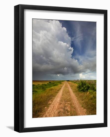 Mad Island Marsh Preserve, Texas: a Dirt Path Leading Throughout the Marsh.-Ian Shive-Framed Photographic Print