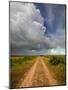 Mad Island Marsh Preserve, Texas: a Dirt Path Leading Throughout the Marsh.-Ian Shive-Mounted Photographic Print