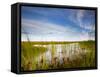Mad Island Marsh Preserve, Texas: Landscape of the Marsh During Sunset.-Ian Shive-Framed Stretched Canvas