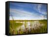 Mad Island Marsh Preserve, Texas: Landscape of the Marsh During Sunset.-Ian Shive-Framed Stretched Canvas