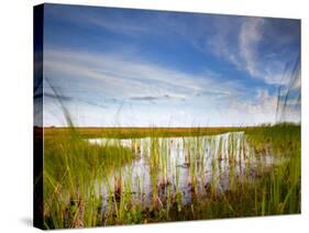 Mad Island Marsh Preserve, Texas: Landscape of the Marsh During Sunset.-Ian Shive-Stretched Canvas