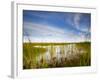 Mad Island Marsh Preserve, Texas: Landscape of the Marsh During Sunset.-Ian Shive-Framed Photographic Print