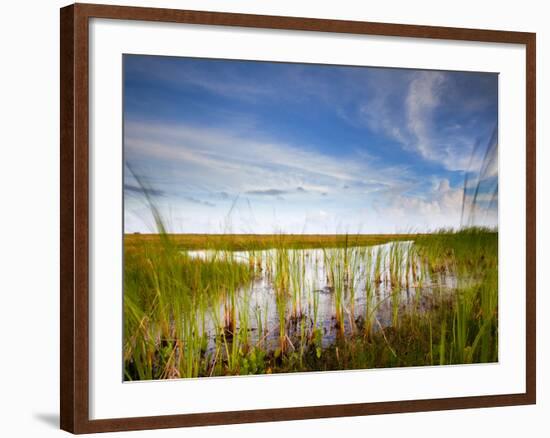 Mad Island Marsh Preserve, Texas: Landscape of the Marsh During Sunset.-Ian Shive-Framed Photographic Print