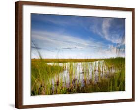 Mad Island Marsh Preserve, Texas: Landscape of the Marsh During Sunset.-Ian Shive-Framed Photographic Print