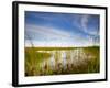 Mad Island Marsh Preserve, Texas: Landscape of the Marsh During Sunset.-Ian Shive-Framed Photographic Print