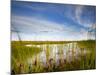 Mad Island Marsh Preserve, Texas: Landscape of the Marsh During Sunset.-Ian Shive-Mounted Photographic Print