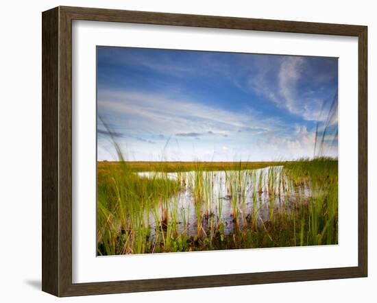 Mad Island Marsh Preserve, Texas: Landscape of the Marsh During Sunset.-Ian Shive-Framed Photographic Print