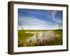 Mad Island Marsh Preserve, Texas: Landscape of the Marsh During Sunset.-Ian Shive-Framed Photographic Print