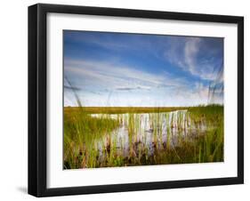 Mad Island Marsh Preserve, Texas: Landscape of the Marsh During Sunset.-Ian Shive-Framed Photographic Print