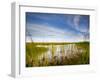 Mad Island Marsh Preserve, Texas: Landscape of the Marsh During Sunset.-Ian Shive-Framed Photographic Print