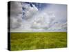 Mad Island Marsh Preserve, Texas: Landscape of the Marsh's Coastal Plains Near Sunset.-Ian Shive-Stretched Canvas