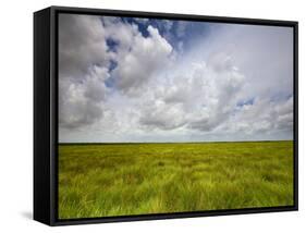 Mad Island Marsh Preserve, Texas: Landscape of the Marsh's Coastal Plains Near Sunset.-Ian Shive-Framed Stretched Canvas