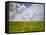 Mad Island Marsh Preserve, Texas: Landscape of the Marsh's Coastal Plains Near Sunset.-Ian Shive-Framed Stretched Canvas