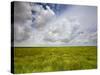 Mad Island Marsh Preserve, Texas: Landscape of the Marsh's Coastal Plains Near Sunset.-Ian Shive-Stretched Canvas