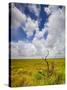 Mad Island Marsh Preserve, Texas: Landscape of the Marsh's Coastal Plains Near Sunset.-Ian Shive-Stretched Canvas