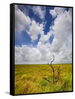 Mad Island Marsh Preserve, Texas: Landscape of the Marsh's Coastal Plains Near Sunset.-Ian Shive-Framed Stretched Canvas