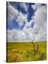 Mad Island Marsh Preserve, Texas: Landscape of the Marsh's Coastal Plains Near Sunset.-Ian Shive-Stretched Canvas