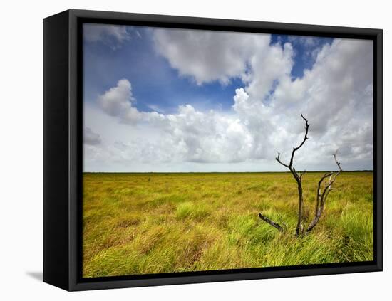 Mad Island Marsh Preserve, Texas: Landscape of the Marsh's Coastal Plains Near Sunset.-Ian Shive-Framed Stretched Canvas