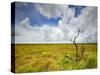 Mad Island Marsh Preserve, Texas: Landscape of the Marsh's Coastal Plains Near Sunset.-Ian Shive-Stretched Canvas