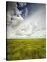 Mad Island Marsh Preserve, Texas: Landscape of the Marsh's Coastal Plains Near Sunset.-Ian Shive-Stretched Canvas